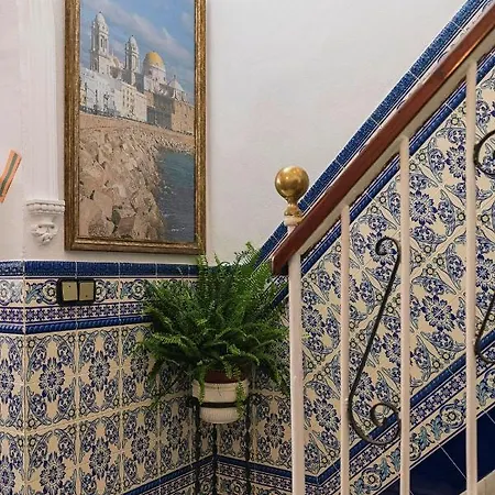 Colon Cadiz
