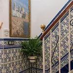 Colon Don Miguel Cádiz